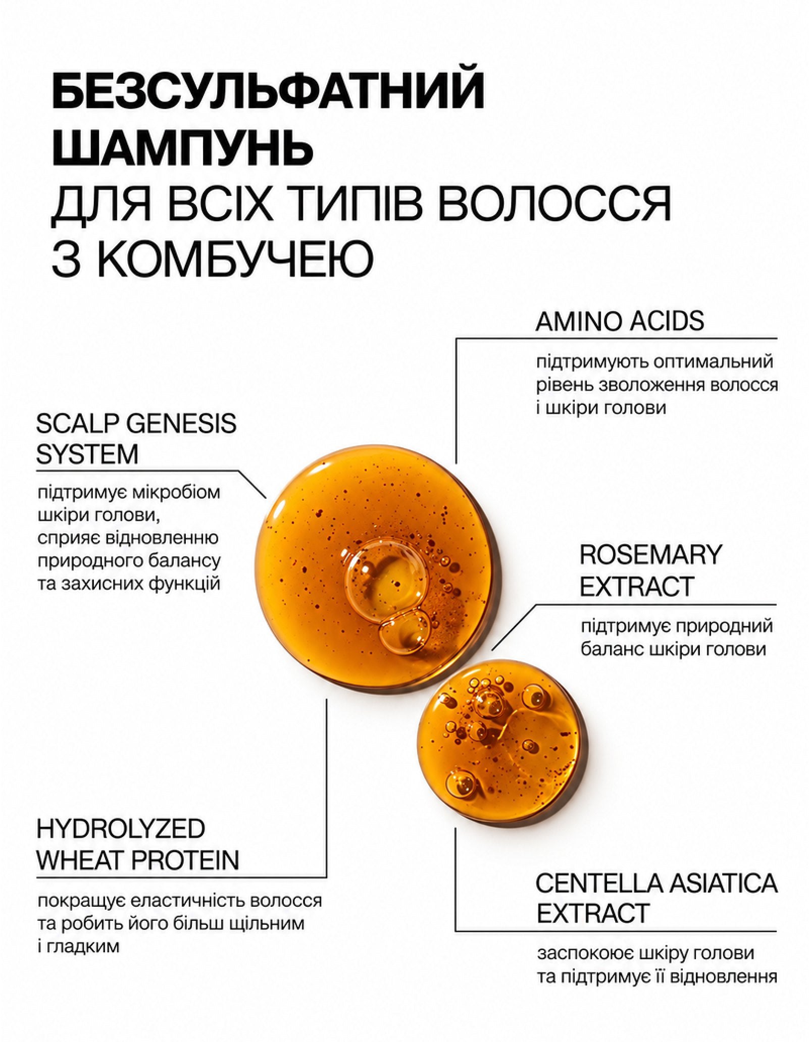 Безсульфатний шампунь для всіх типів волосся з комбучею Kombucha — фото 3