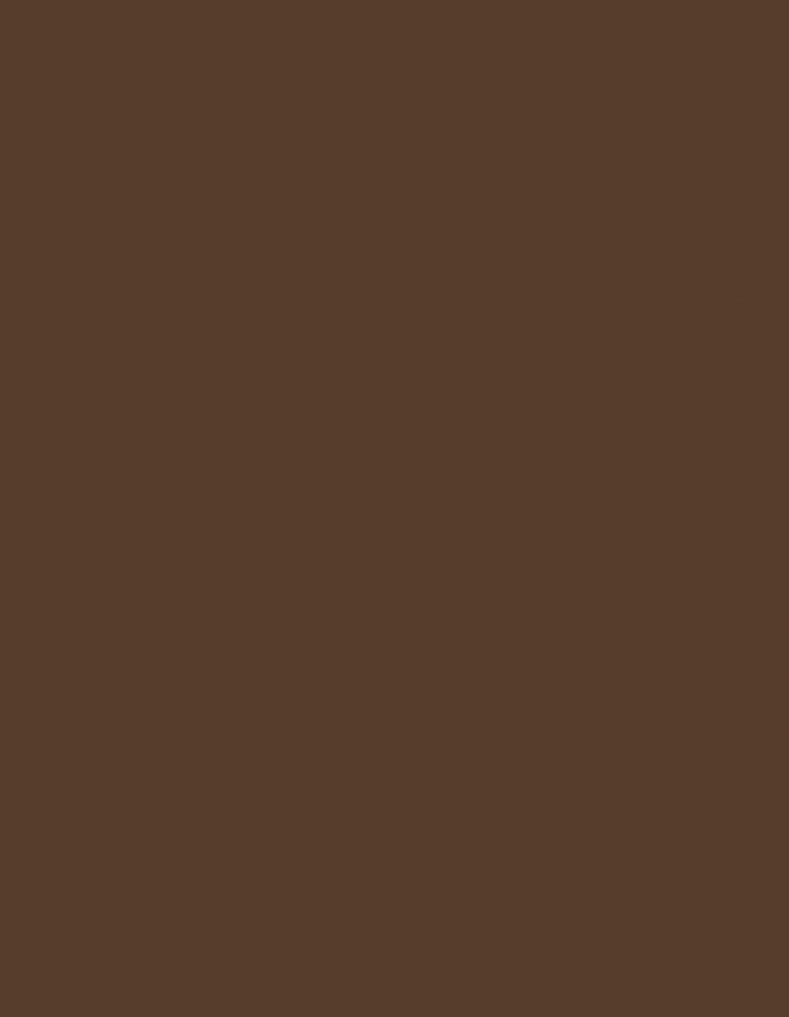 Маркер для брів Micro Brow Liner — №2 Warm Brunette