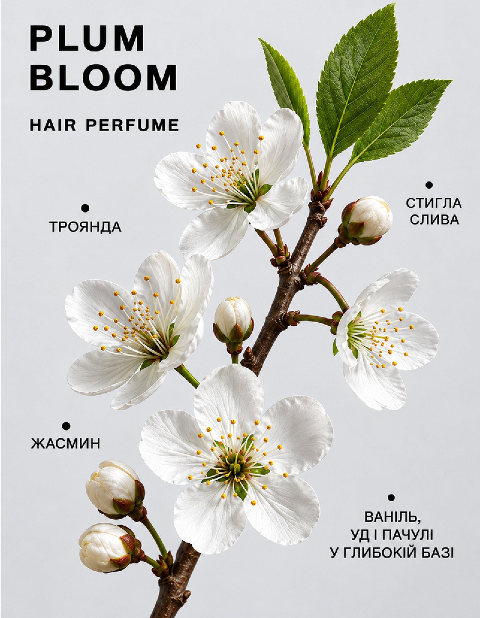 Парфумована вода для волосся Plum Bloom — фото 3