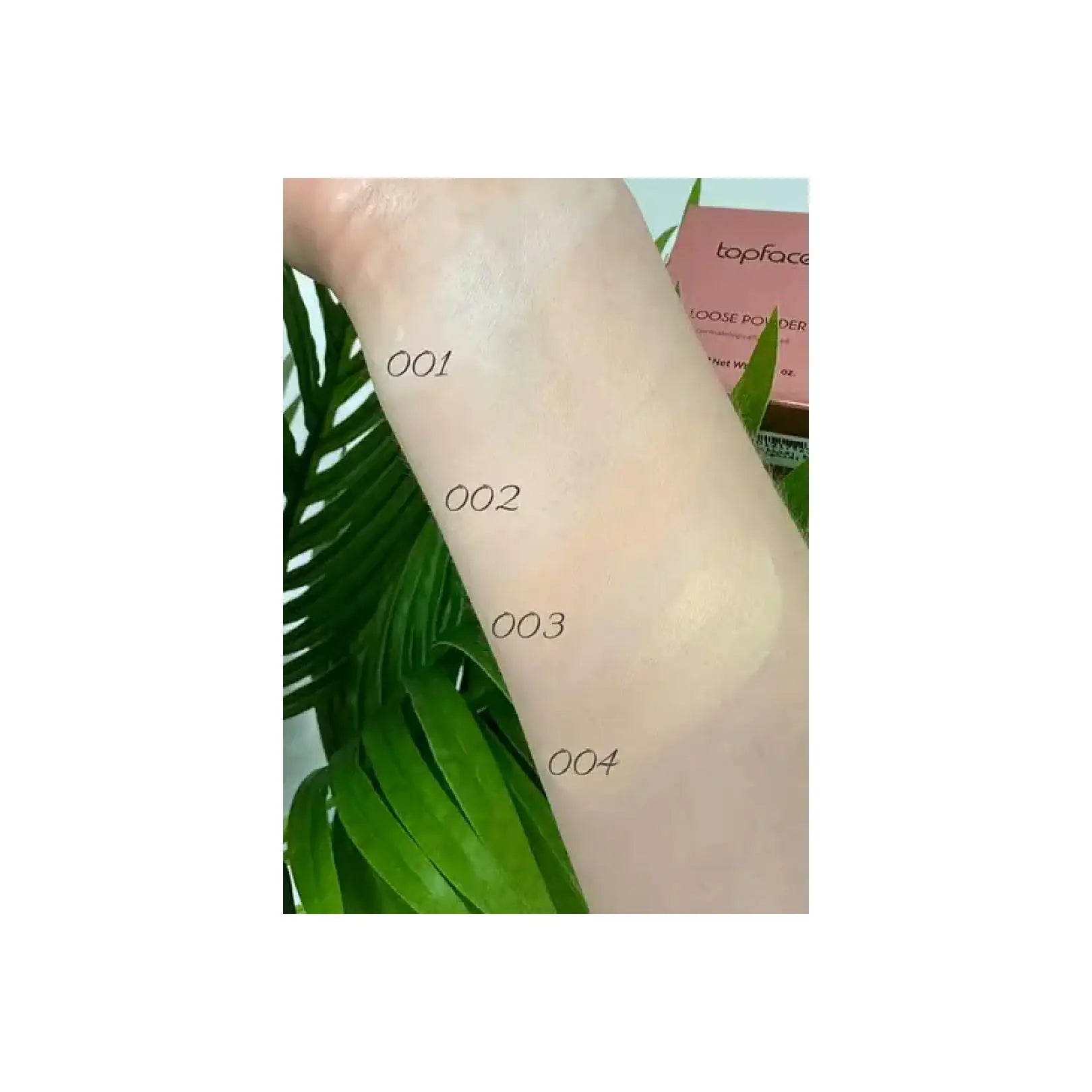Пудра розсипчаста Instyle Loose Powder - Пудра для обличчя